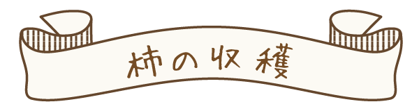 柿の収穫