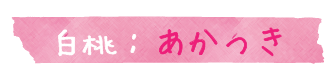 あかつき,桃の品種