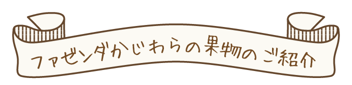 果物の紹介